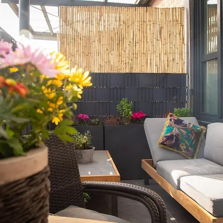 شقة Loft Lechenich إرفتشتات